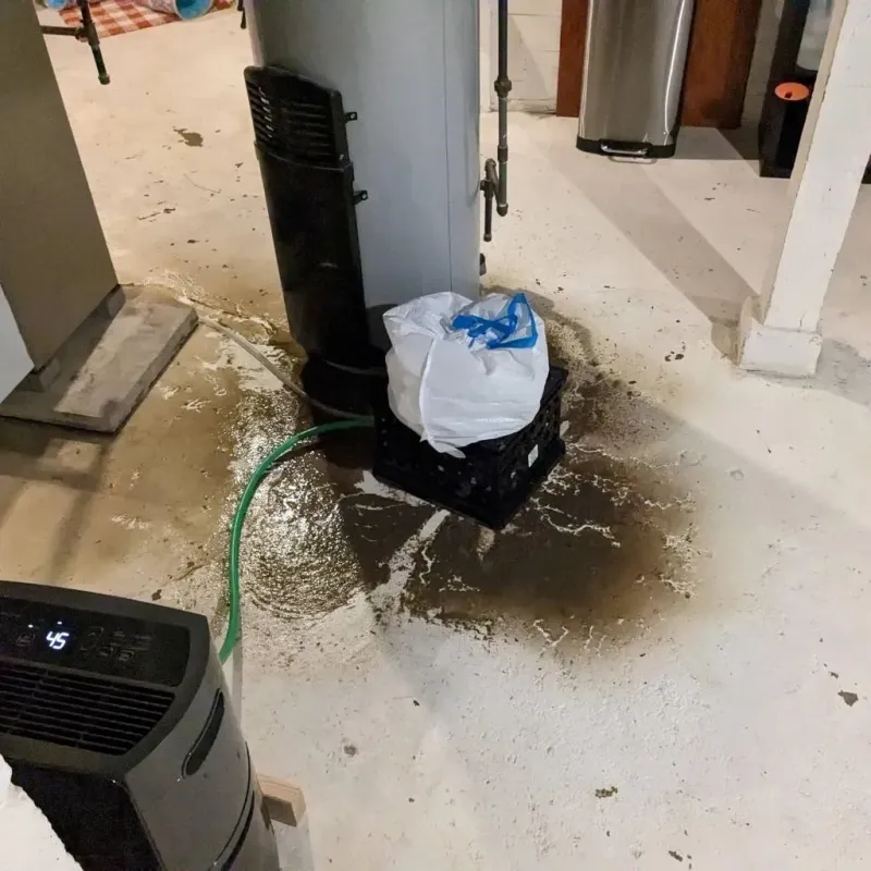 Sewage Backup Cleanup Service in Jenkins County, GA